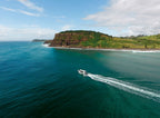 Byron Bay Dolphin Cruise: 2-Hour Ocean Adventure