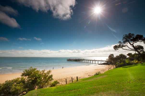 Melbourne Phillip Island Penguin Parade & Wildlife Discovery Day Tour