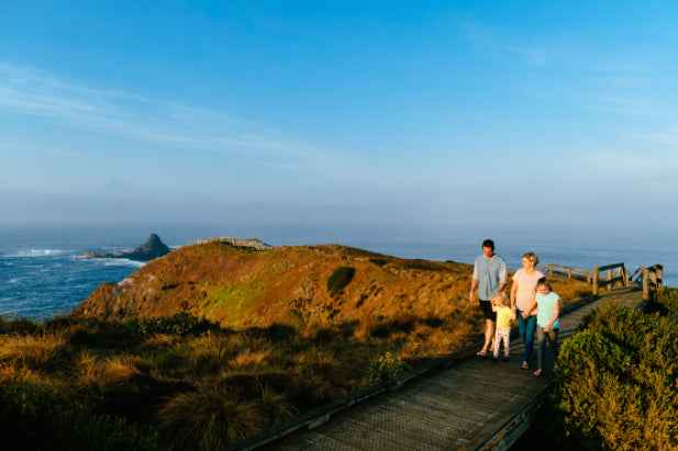 Melbourne Phillip Island Penguin Parade & Wildlife Discovery Day Tour