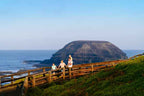 Melbourne Phillip Island Penguin Parade & Wildlife Discovery Day Tour
