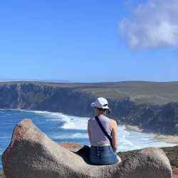 Kangaroo Island 2-Day Wildlife Adventure: Beaches, Koalas & Sea Lions
