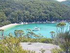 Wilsons Promontory Whale Cruise from Port Welshpool