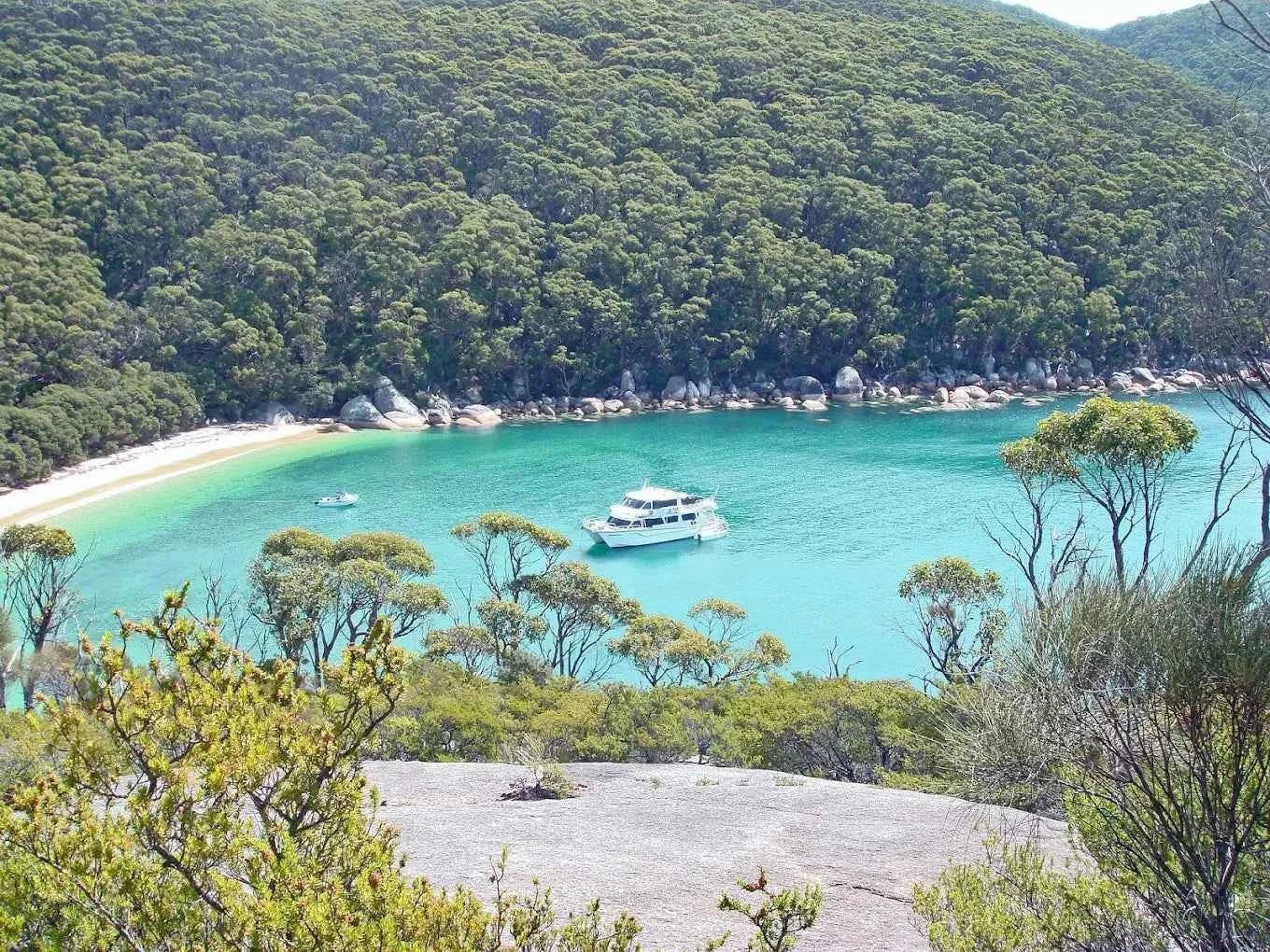 Wilsons Promontory Whale Cruise from Port Welshpool