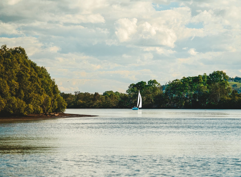 Ballina River Cruise Richmond River: Mangroves & Sunset Wildlife