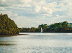 Ballina River Cruise Richmond River: Mangroves & Sunset Wildlife