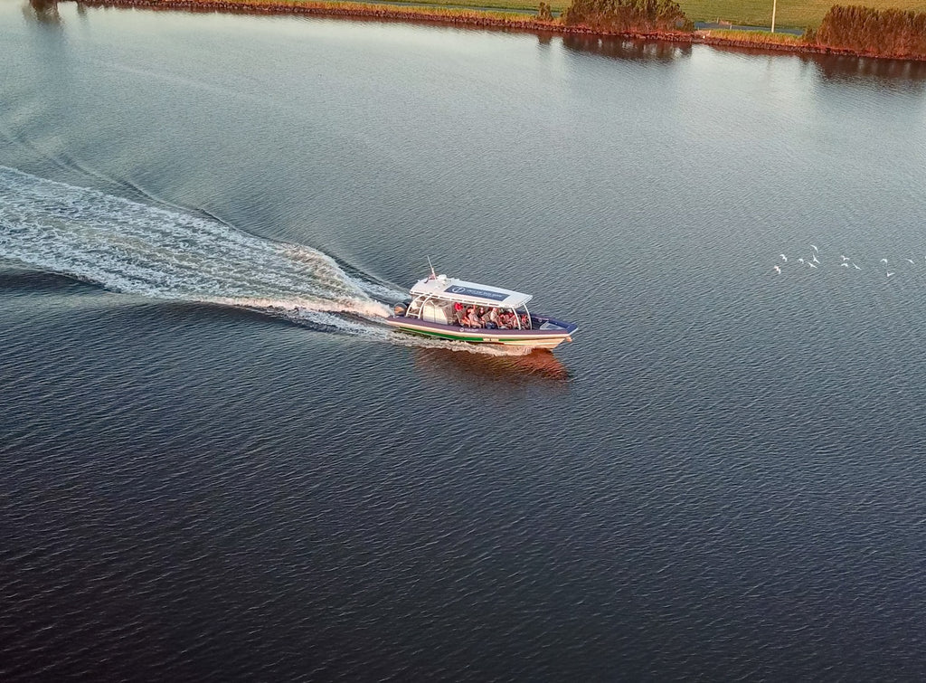 Ballina River Cruise Richmond River: Mangroves & Sunset Wildlife