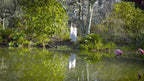 Lothlorien Gladden Fields Day Tour: Lord of the Rings Filming Locations