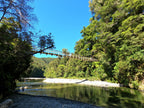 Lothlorien Gladden Fields Day Tour: Lord of the Rings Filming Locations
