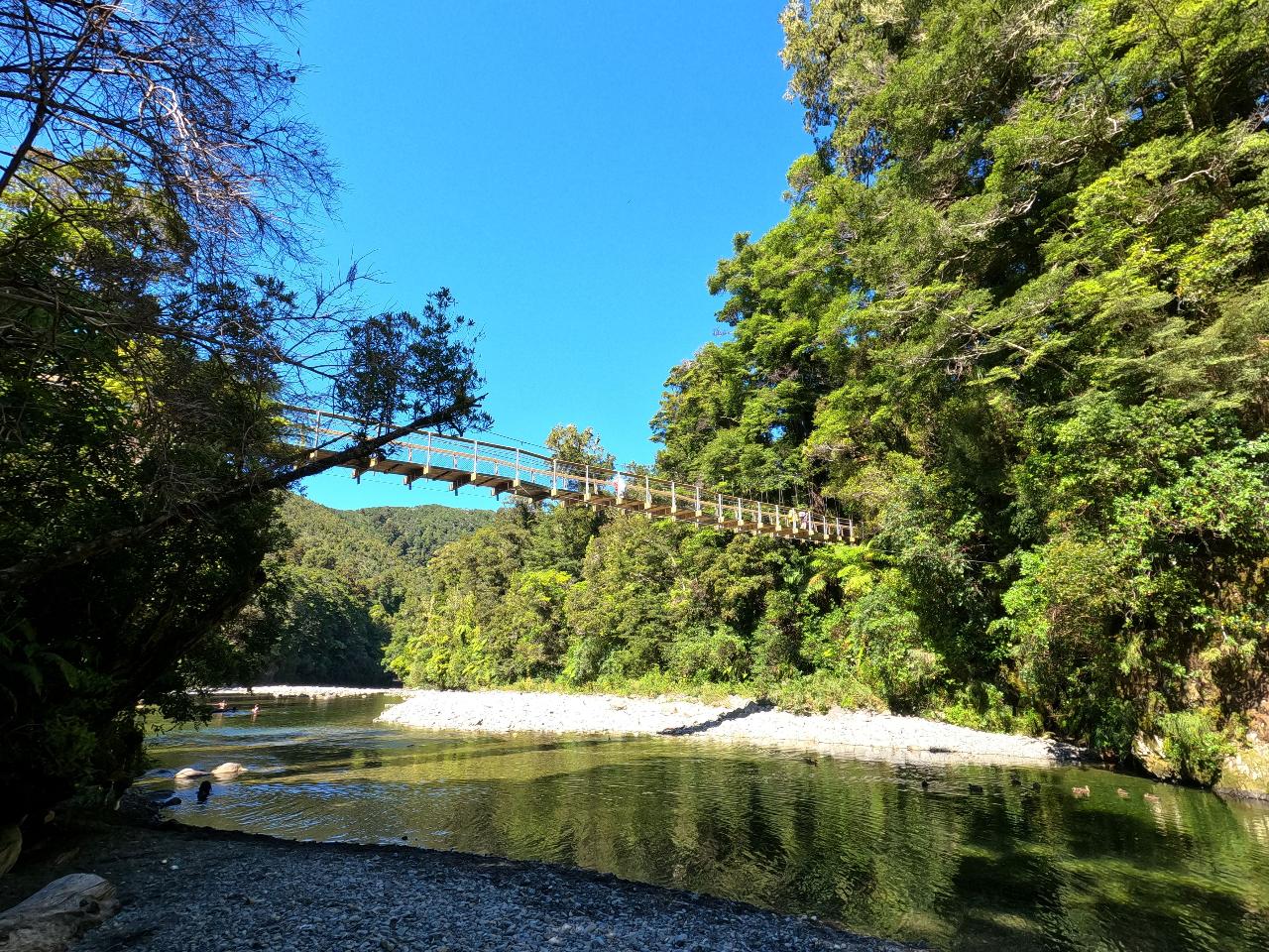 Lothlorien Gladden Fields Day Tour: Lord of the Rings Filming Locations