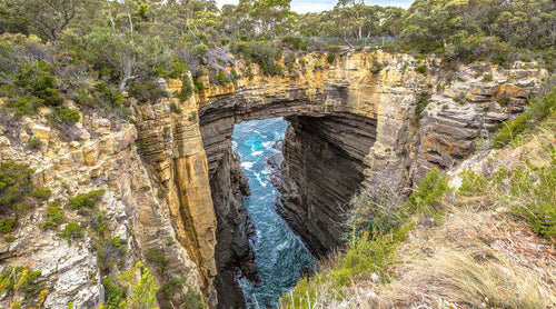 Port Arthur Deep History Tour: Convict Stories & Tasman Coast