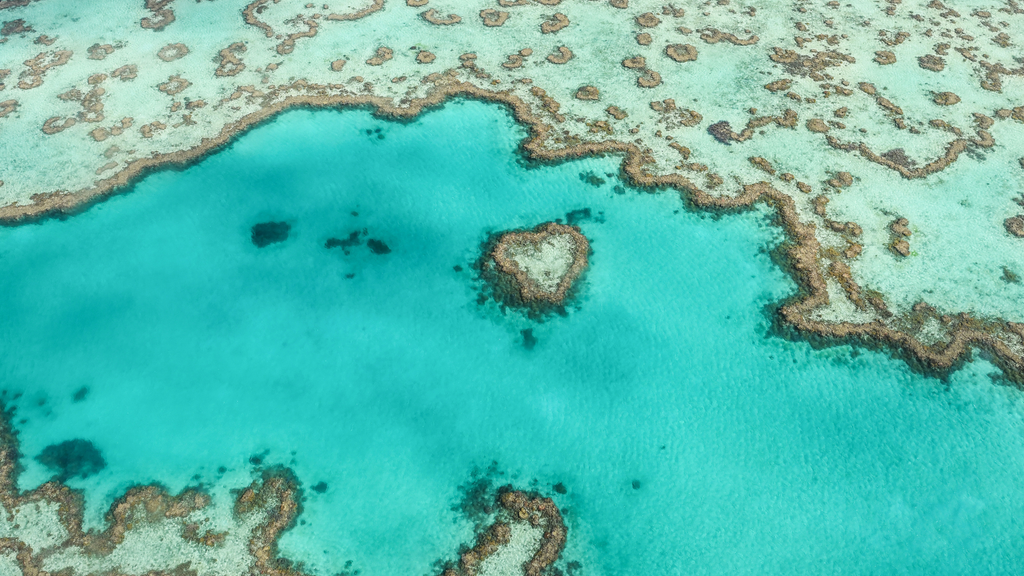 Fly & Raft Southern Whitehaven Beach Day Tour from Airlie Beach - Zero Trace Tours