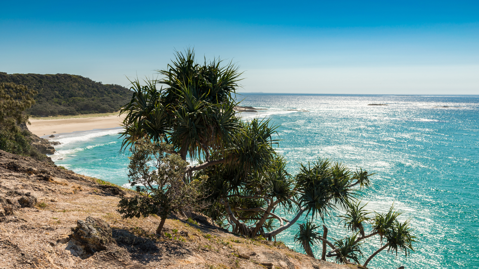 North Stradbroke Island Wildlife & Sunset Day Tour from Brisbane - Zero Trace Tours