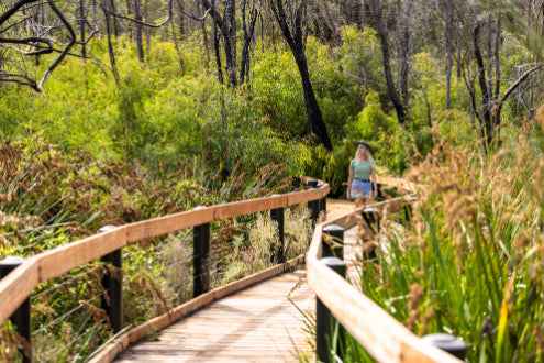 Perth Coral Coast Discovery: Lobster, Lavender & Pinnacles Day Tour