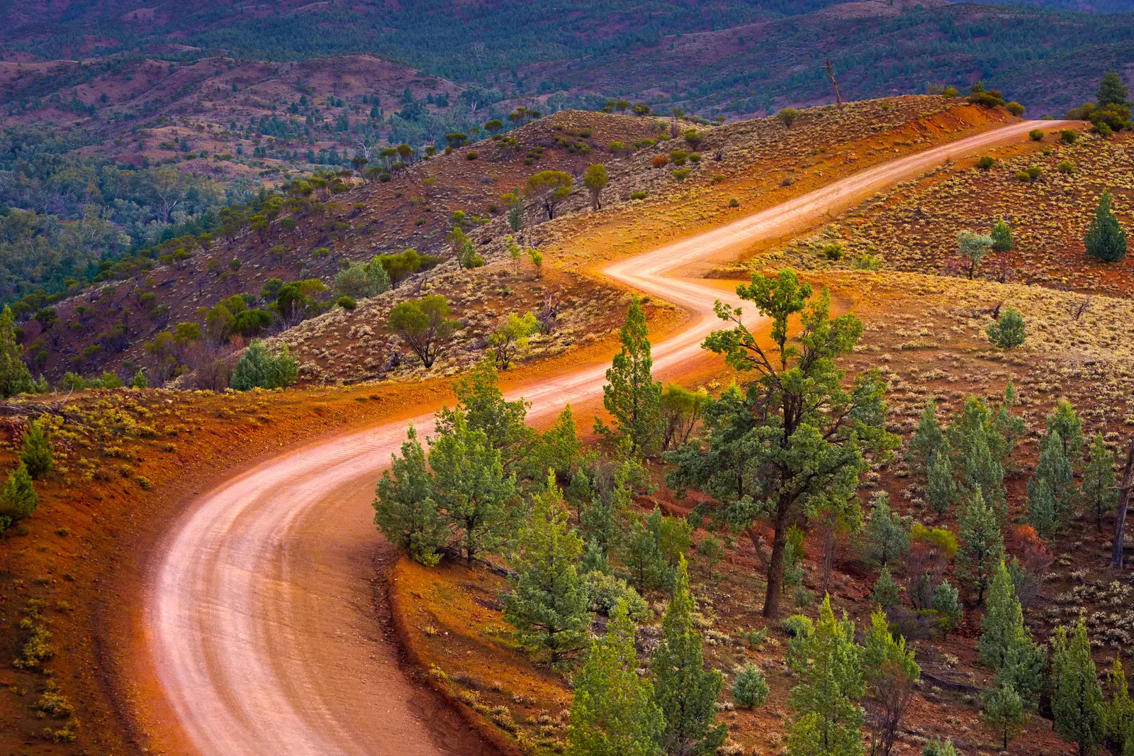 7 Day Adelaide to Kati Thanda-Lake Eyre Small Group Eco Safari - Zero Trace Tours