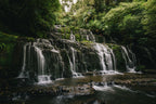 Catlins Day Tour Dunedin Te Anau: Lighthouses, Falls & Wildlife