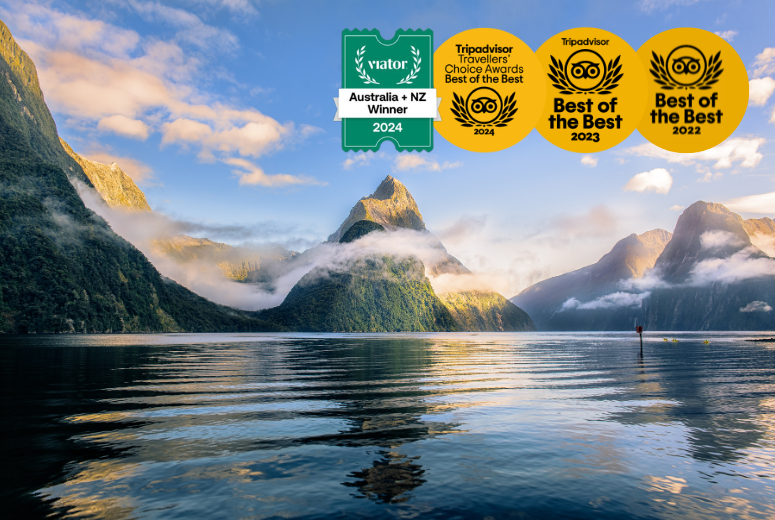 Milford Sound Helicopter Tour from Te Anau: Cruise & Scenic Flight
