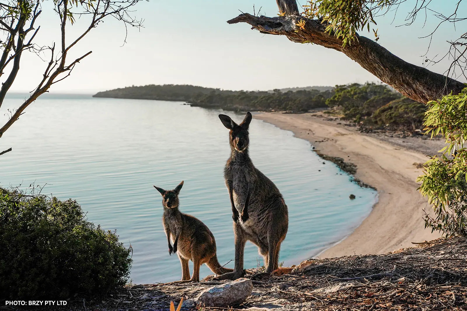 10 Day Eyre Peninsula, West Coast & Outback Eco Tour from Adelaide | Small Group 4WD Adventure - Zero Trace Tours