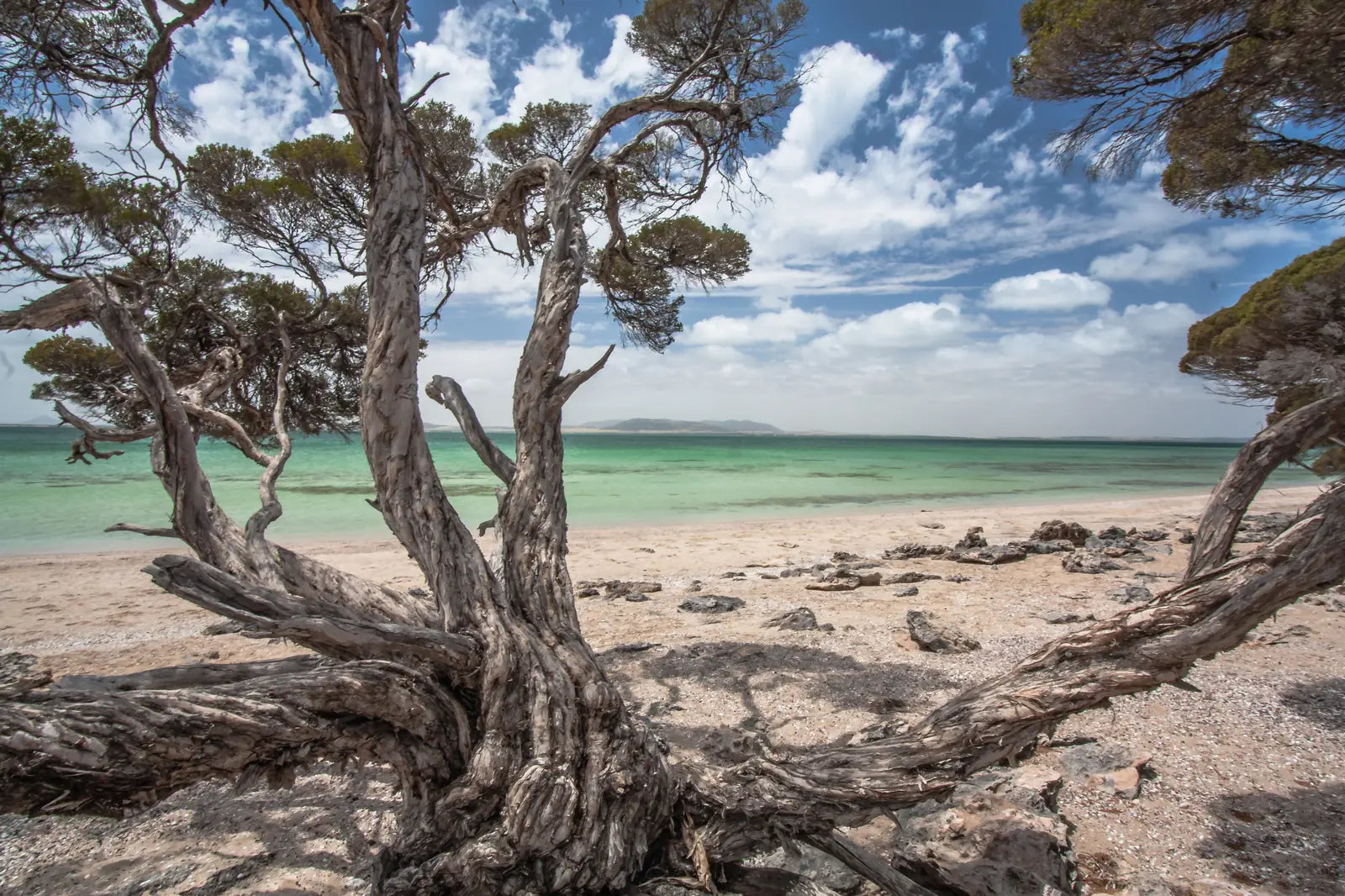 10 Day Eyre Peninsula, West Coast & Outback Eco Tour from Adelaide | Small Group 4WD Adventure - Zero Trace Tours