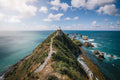 Catlins Day Tour Dunedin Te Anau: Lighthouses, Falls & Wildlife