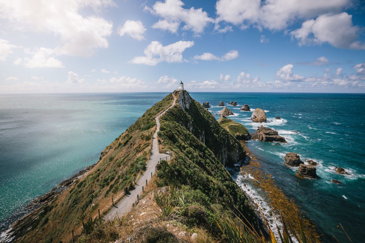 Catlins Day Tour Dunedin Te Anau: Lighthouses, Falls & Wildlife