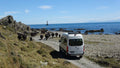 Wellington Seal Coast Safari Day Tour: Private Beach & Fur Seals