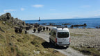 Wellington Seal Coast Safari Day Tour: Private Beach & Fur Seals