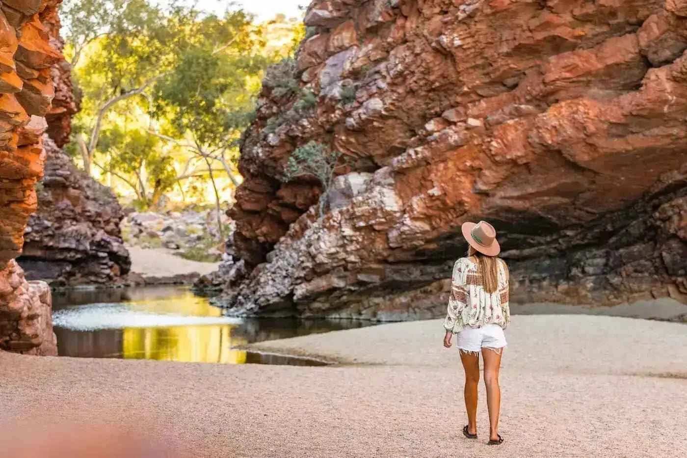 West MacDonnell Ranges Day Ecotour from Alice Springs