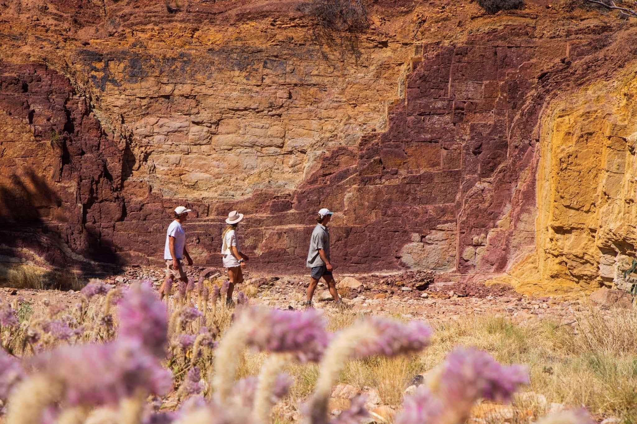 West MacDonnell Ranges Day Ecotour from Alice Springs