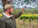 Margaret River Wine Blending & Gourmet Shore Excursion from Busselton Jetty