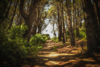 Wellington Lord of the Rings Half & Full Day Tour: Weta & Filming Locations
