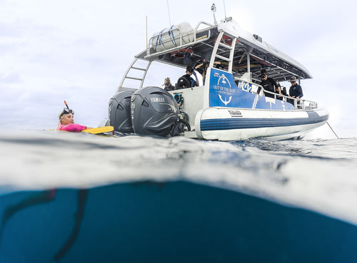 Byron Bay Julian Rocks Snorkeling Tour: Marine Biologist Guided