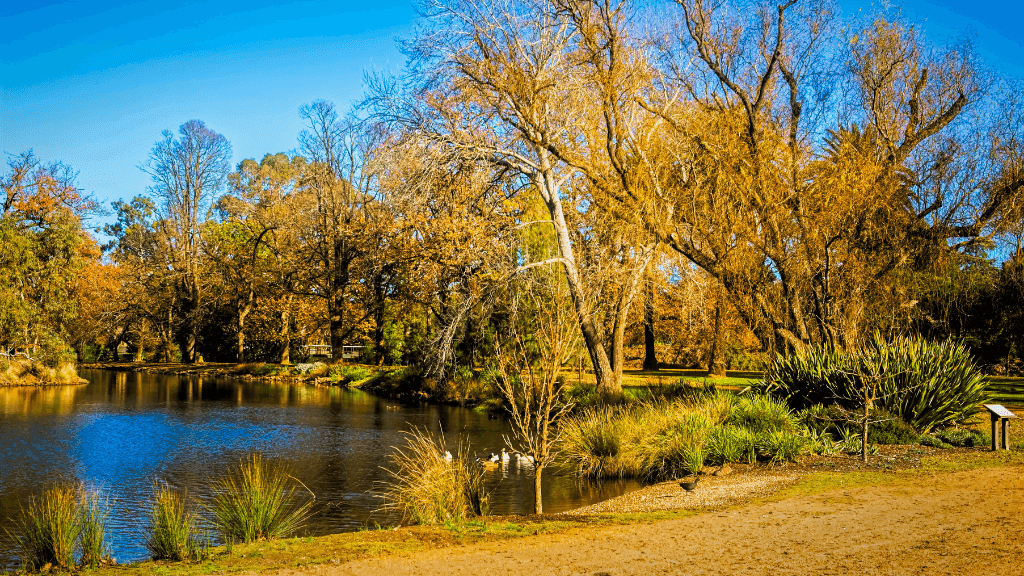 Golden Trails of Daylesford: 4 - Day Goldfields Walking Tour - Zero Trace Tours