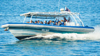 Byron Bay Dolphin Cruise: 2-Hour Ocean Adventure