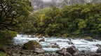Milford Sound Helicopter Tour from Te Anau: Cruise & Scenic Flight