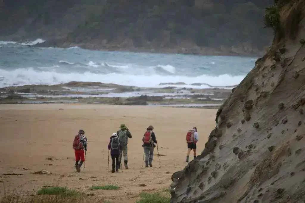 Iconic Twelve Apostles Trek: 4-Day Great Ocean Walk