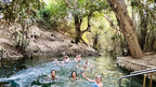Kakadu & Katherine Gorge Highlights: 4-Day Aboriginal Culture & Wildlife Tour