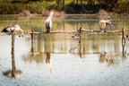 3 Day Riverland & Murray River National Parks Eco Tour from Adelaide | Small-Group 4WD Adventure - Zero Trace Tours