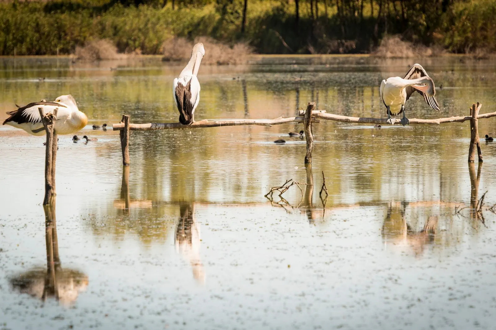 3 Day Riverland & Murray River National Parks Eco Tour from Adelaide | Small-Group 4WD Adventure - Zero Trace Tours
