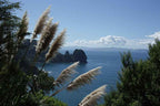 Bay of Islands 2-Day Tour & Cruise: Waitangi & Hole in the Rock
