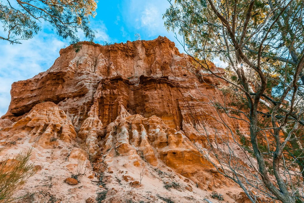 3 Day Riverland & Murray River National Parks Eco Tour from Adelaide | Small-Group 4WD Adventure - Zero Trace Tours