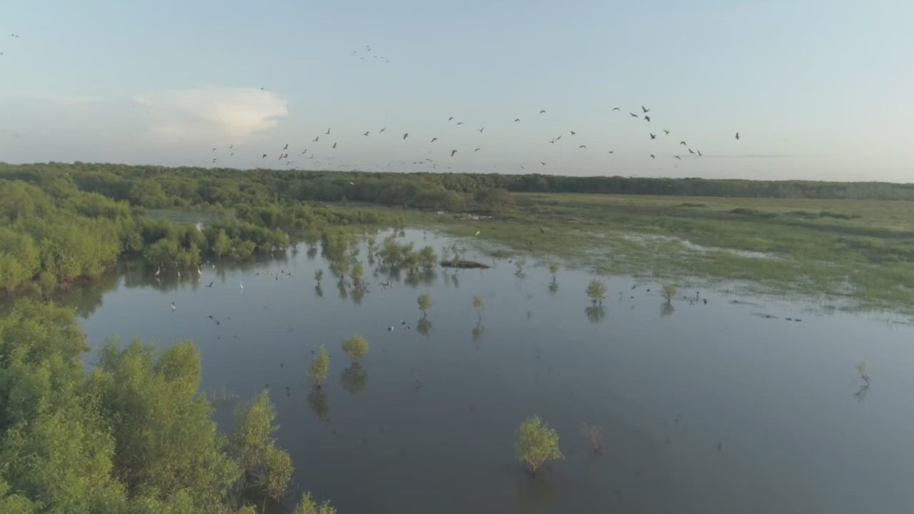 Darwin to Kakadu Day Tour: Rock Art, Crocodiles & Floodplains