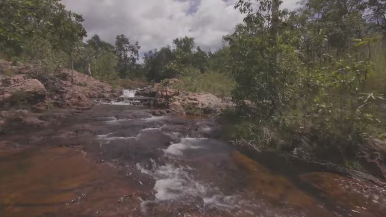 Litchfield National Park Day Tour Darwin: Waterfalls & Termite Mounds