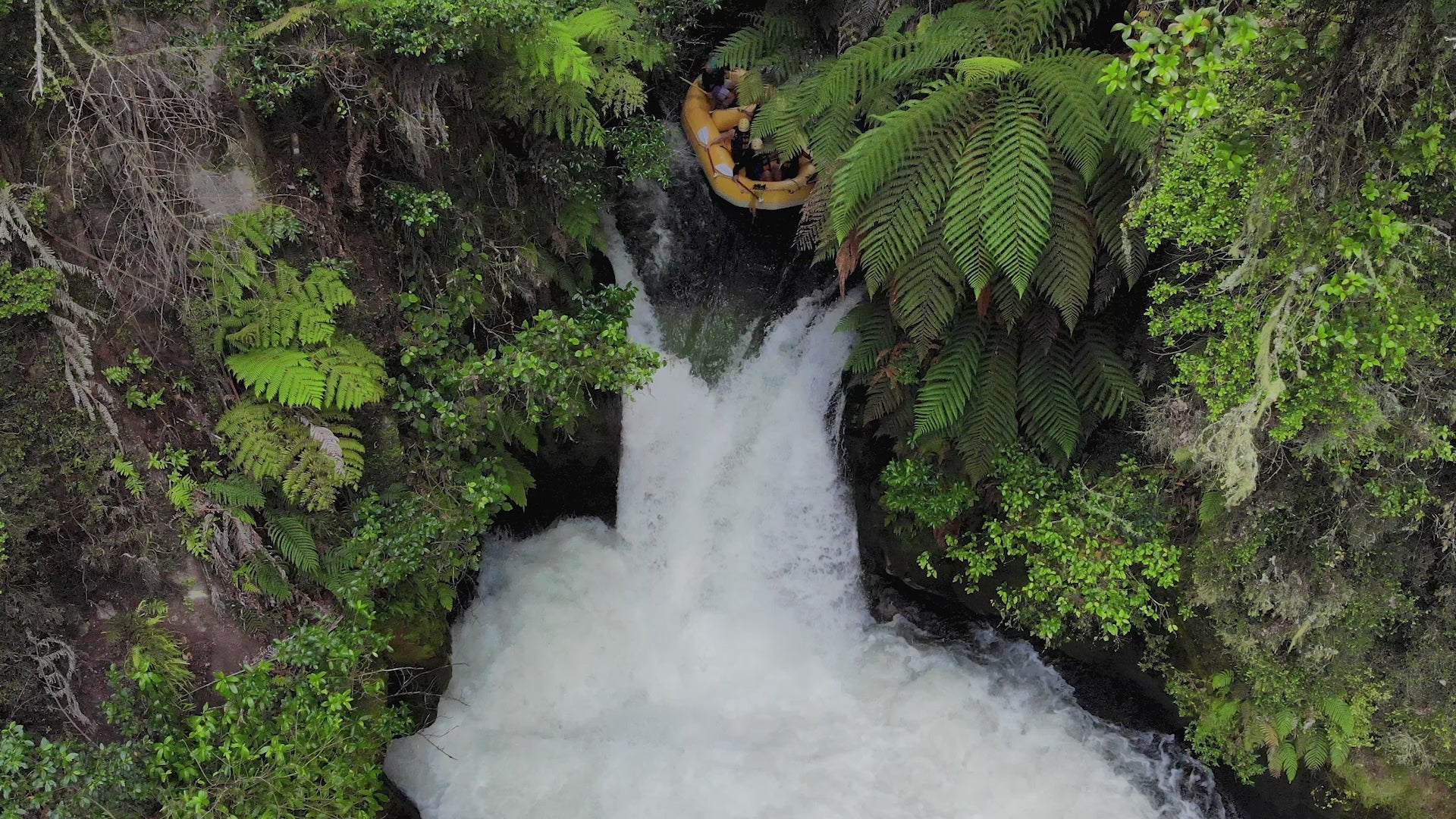 Kaituna River Rafting: Grade 5 Waterfall Adventure