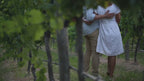 Hunter Valley Wine Tour from Sydney: Cellar Doors & Cheese Tasting