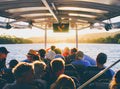 Ballina River Cruise Richmond River: Mangroves & Sunset Wildlife