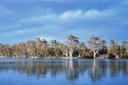 3 Day Riverland & Murray River National Parks Eco Tour from Adelaide | Small-Group 4WD Adventure - Zero Trace Tours