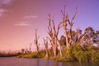 3 Day Riverland & Murray River National Parks Eco Tour from Adelaide | Small-Group 4WD Adventure - Zero Trace Tours