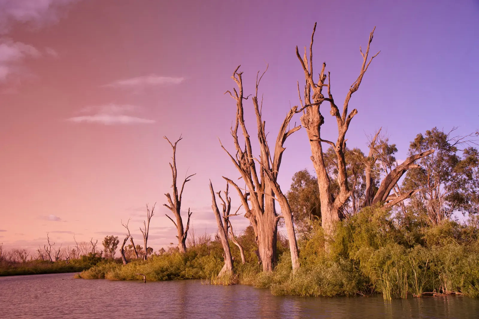 3 Day Riverland & Murray River National Parks Eco Tour from Adelaide | Small-Group 4WD Adventure - Zero Trace Tours
