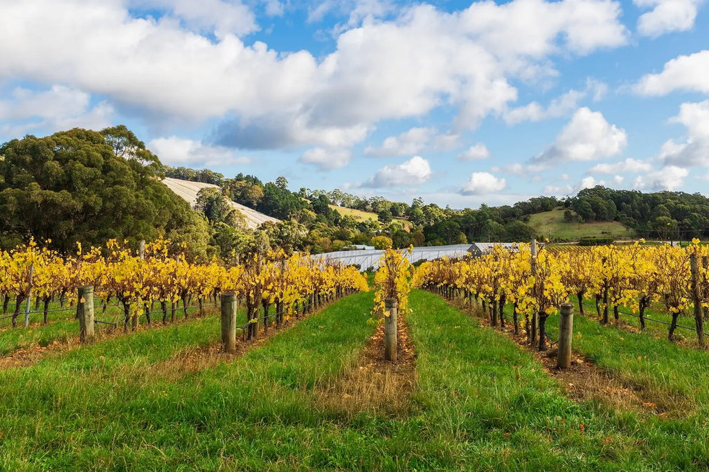 3 Day Riverland & Murray River National Parks Eco Tour from Adelaide | Small-Group 4WD Adventure - Zero Trace Tours