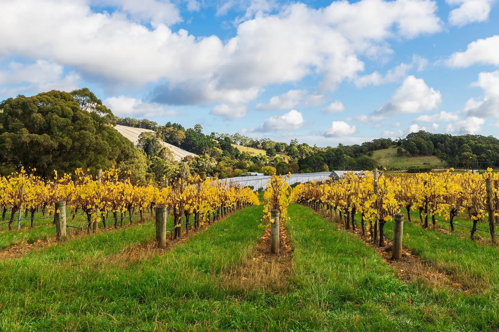 3 Day Riverland & Murray River National Parks Eco Tour from Adelaide | Small-Group 4WD Adventure - Zero Trace Tours